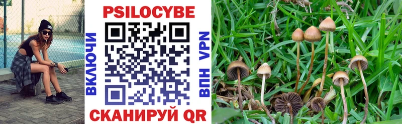 даркнет сайт  kraken маркетплейс  Псилоцибиновые грибы Psilocybe  Сухиничи 